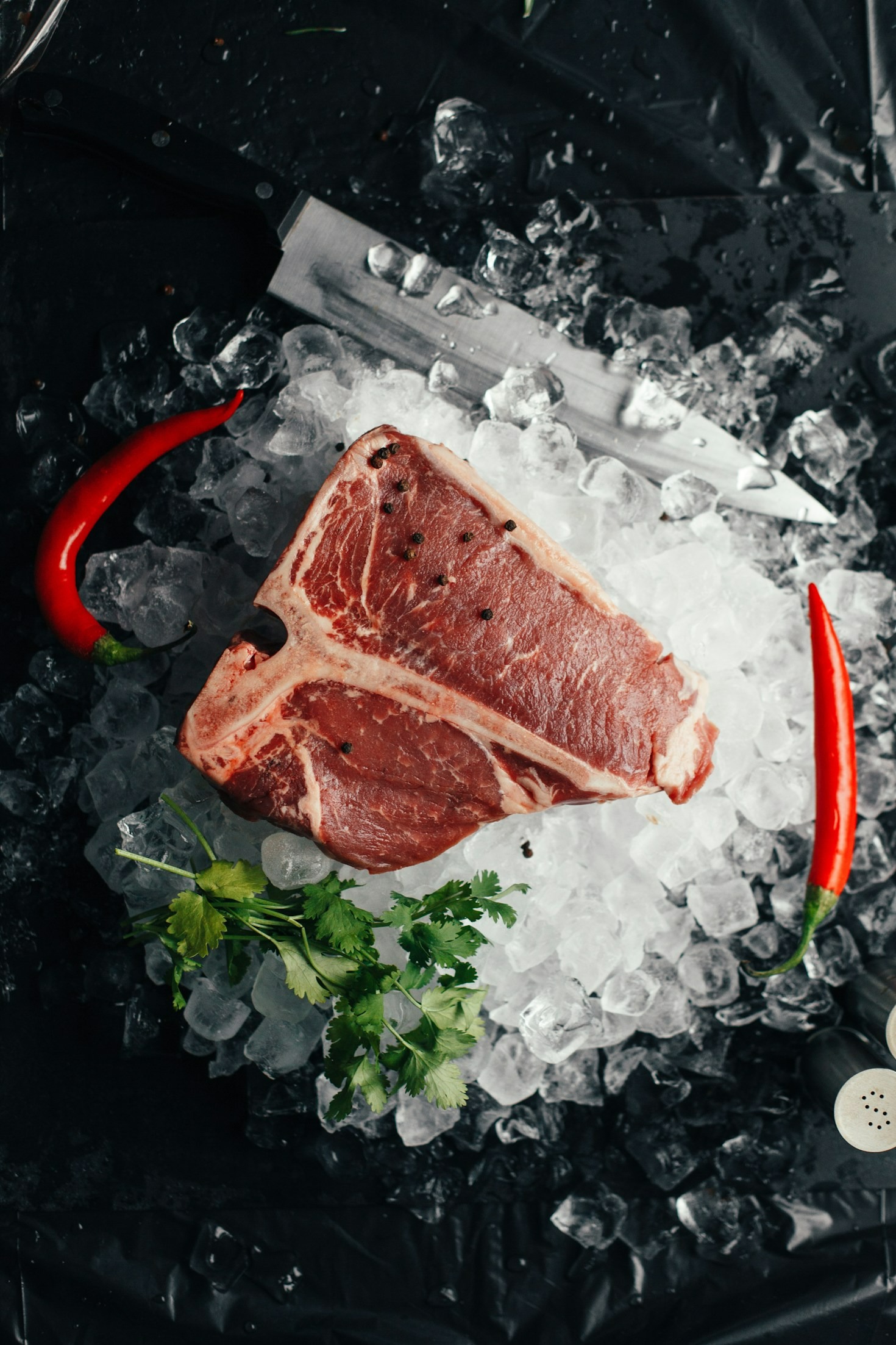 A ciência por trás do estilo de vida Keto Carnívoro